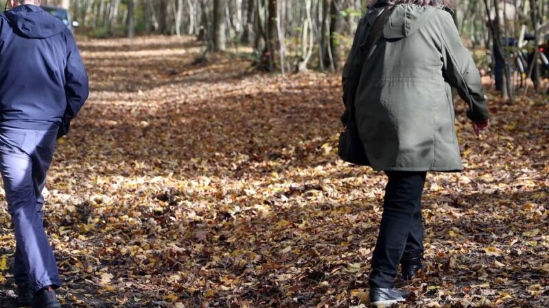 Wupperrunde zwischen Leichlingen und Opladen: Matsch und „See“ auf Wanderweg – Bauhof will reagieren