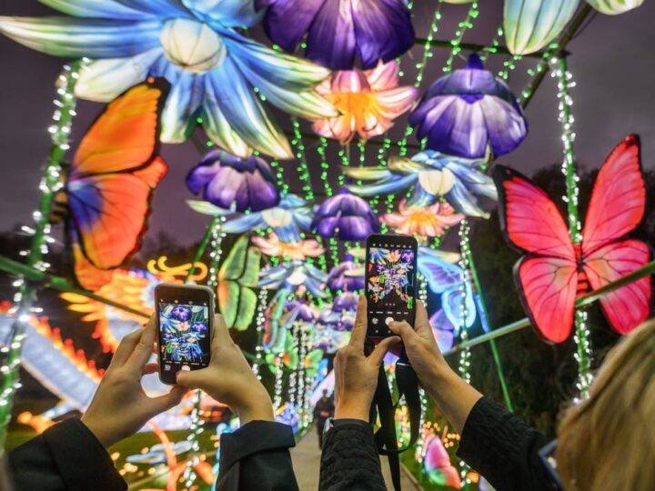 „Japan & Korea Light & Food Festival“: Japanisch-koreanisches Food- und Lichtfestival lockt am Wochenende an den Rhein