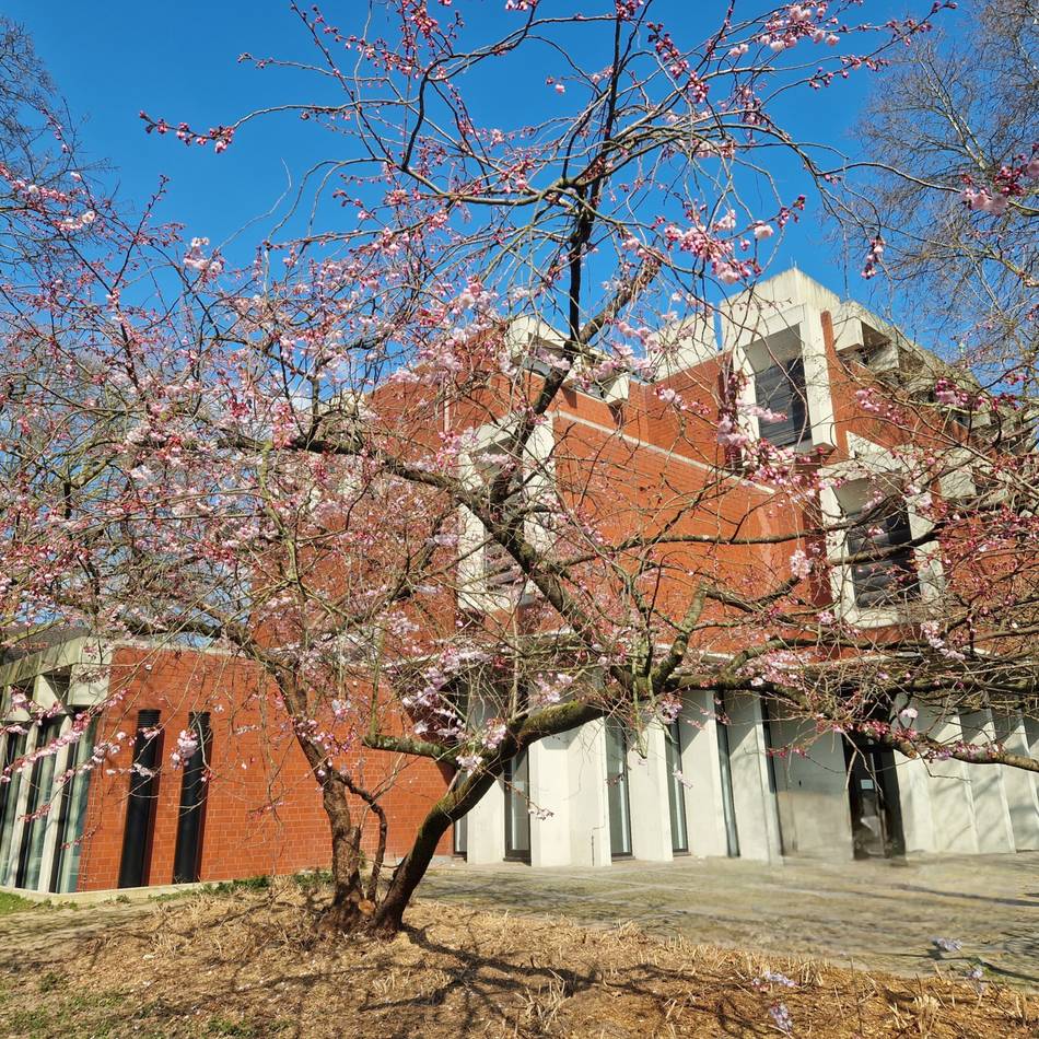 50 Jahre Deilmann-Bau für das Clemens-Sels-Museum Neuss: „Ein bedeutendes Beispiel für die Architektur seiner Zeit“
