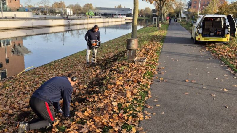 Vorgeschmack auf Landesgartenschau 2029: Spoykanal soll ab 2026 aufblühen – Stadt pflanzt Blumenzwiebeln