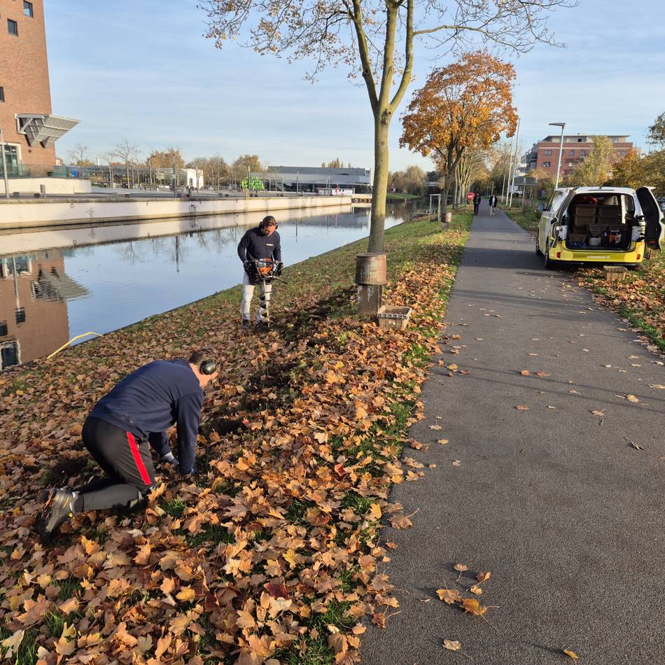 Vorgeschmack auf Landesgartenschau 2029: Spoykanal soll ab 2026 aufblühen – Stadt pflanzt Blumenzwiebeln