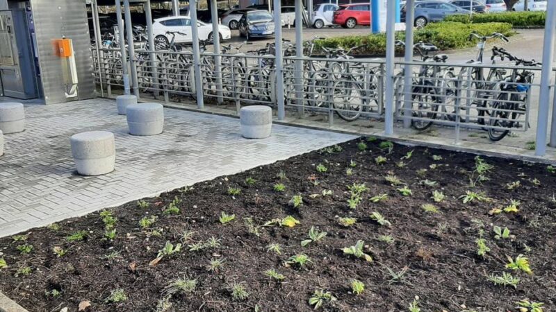 Baumaßnahmen in Erkelenz: Bahnhof Erkelenz – Modernisierung verzögert sich