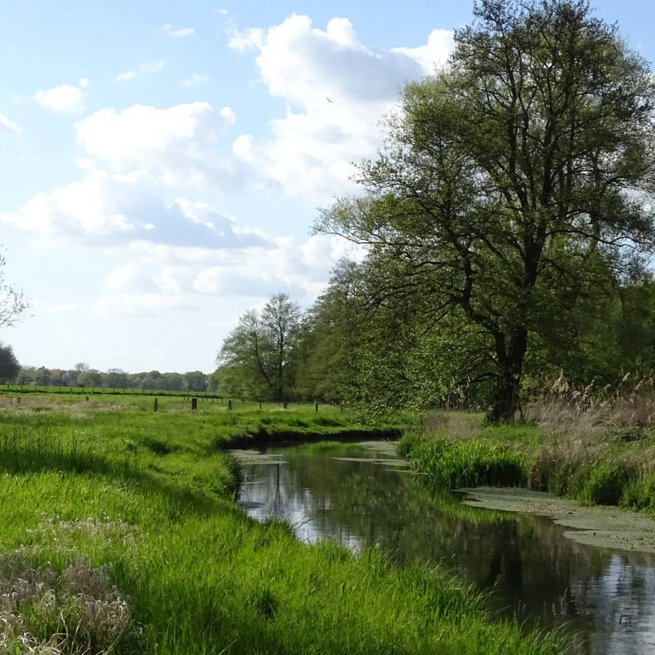 Naturschutz stärken: LVR fördert Bildungsprogramm für Ehrenamtliche im Naturschutz