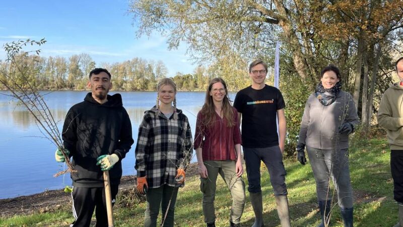Aktion an den Oybaum-Seen: Bäume in Kalkar ernten und verschenken