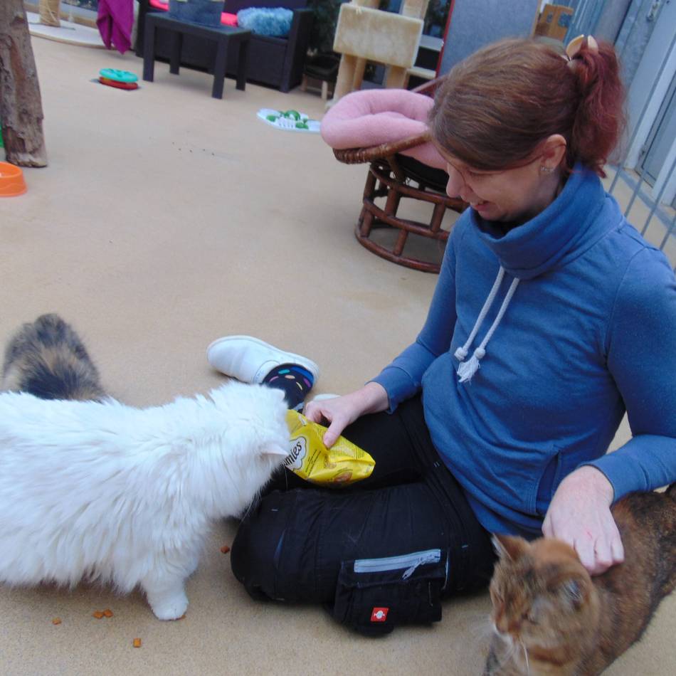 Spendenaufruf für Tierschutz in Mönchengladbach: „Das Futter geht weg wie warme Semmeln“ – Fellnasen benötigen Futterspende