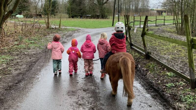 Pädagogisches Konzept mit Tieren: Elterninitiative kämpft für den Erhalt des Hofkindergartens