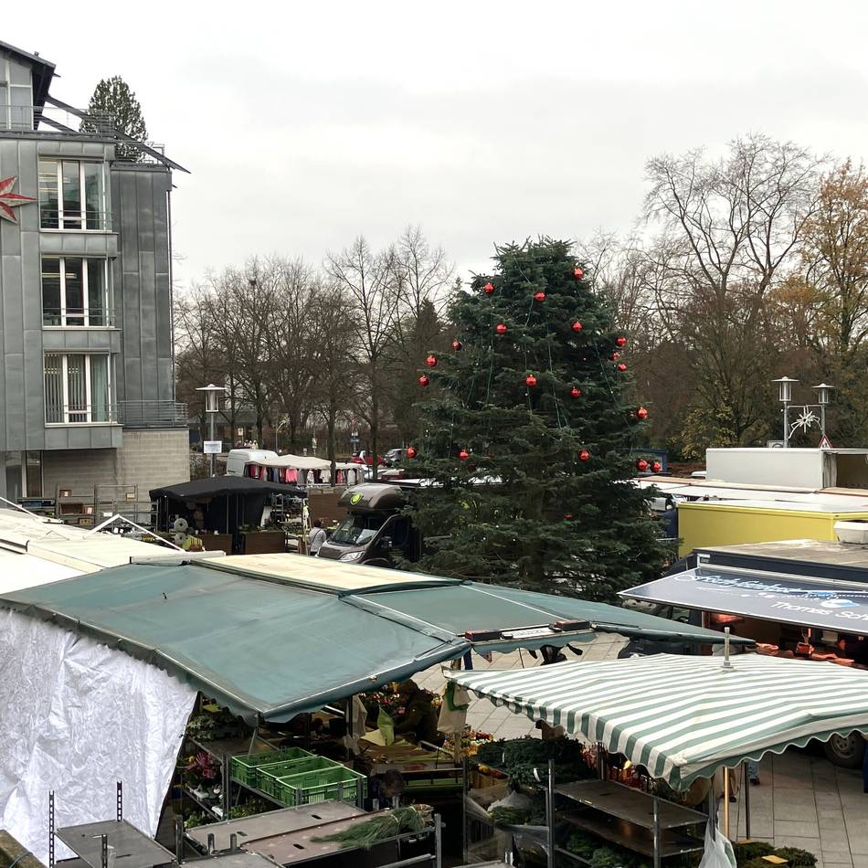 Lustiges Kaarst-Problem: Oh Pannenbaum, oh Pannenbaum, wo ist bloß deine Spitze?