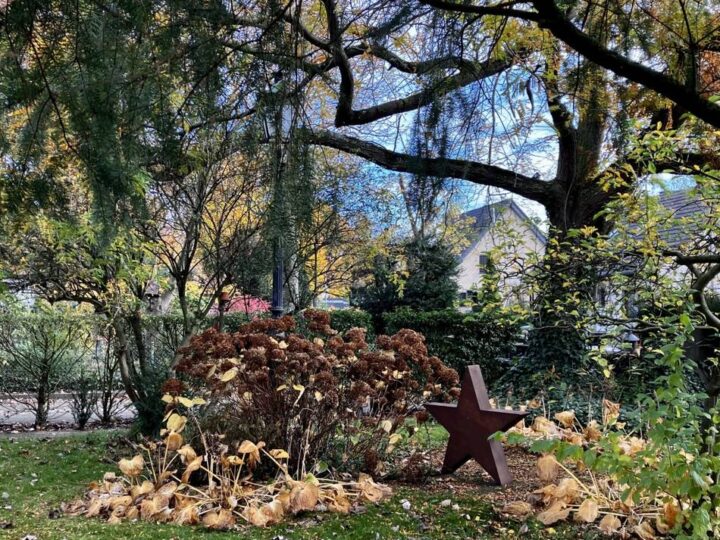 Gartentipps vom Dormagener Experten: „Arbeiten nicht aufzuschieben, erleichtert den Winter“