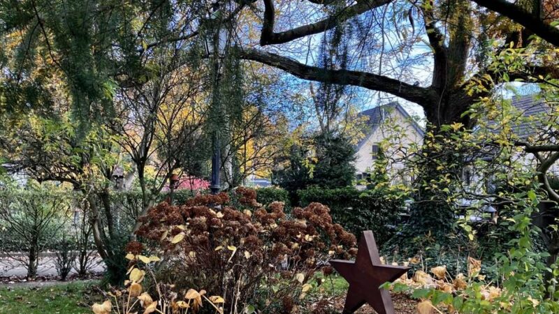 Gartentipps vom Dormagener Experten: „Arbeiten nicht aufzuschieben, erleichtert den Winter“