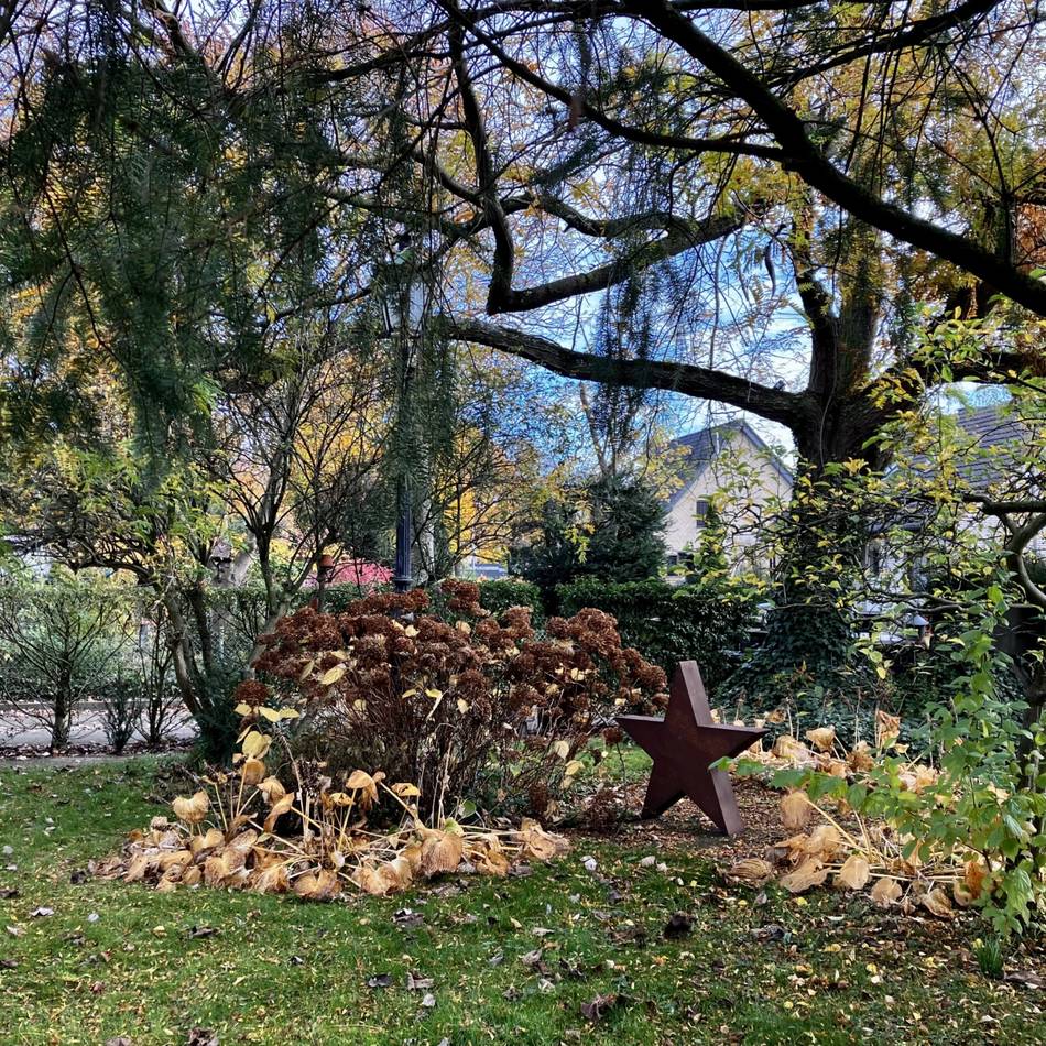 Gartentipps vom Dormagener Experten: „Arbeiten nicht aufzuschieben, erleichtert den Winter“