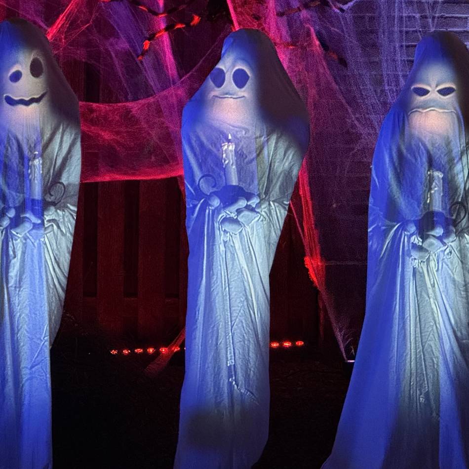 Halloween am Niederrhein: Das schaurig-schöne Grusel-Kunstwerk von Hallo-Vynenween