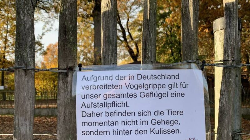 Untersuchungen im Kreis Kleve: 13 tote Wildvögel entdeckt – Vogelgrippe breitet sich aus
