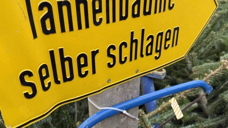 Selbstschlagen oder kaufen: Hier gibt es am Niederrhein Tannenbäume frisch vom Feld