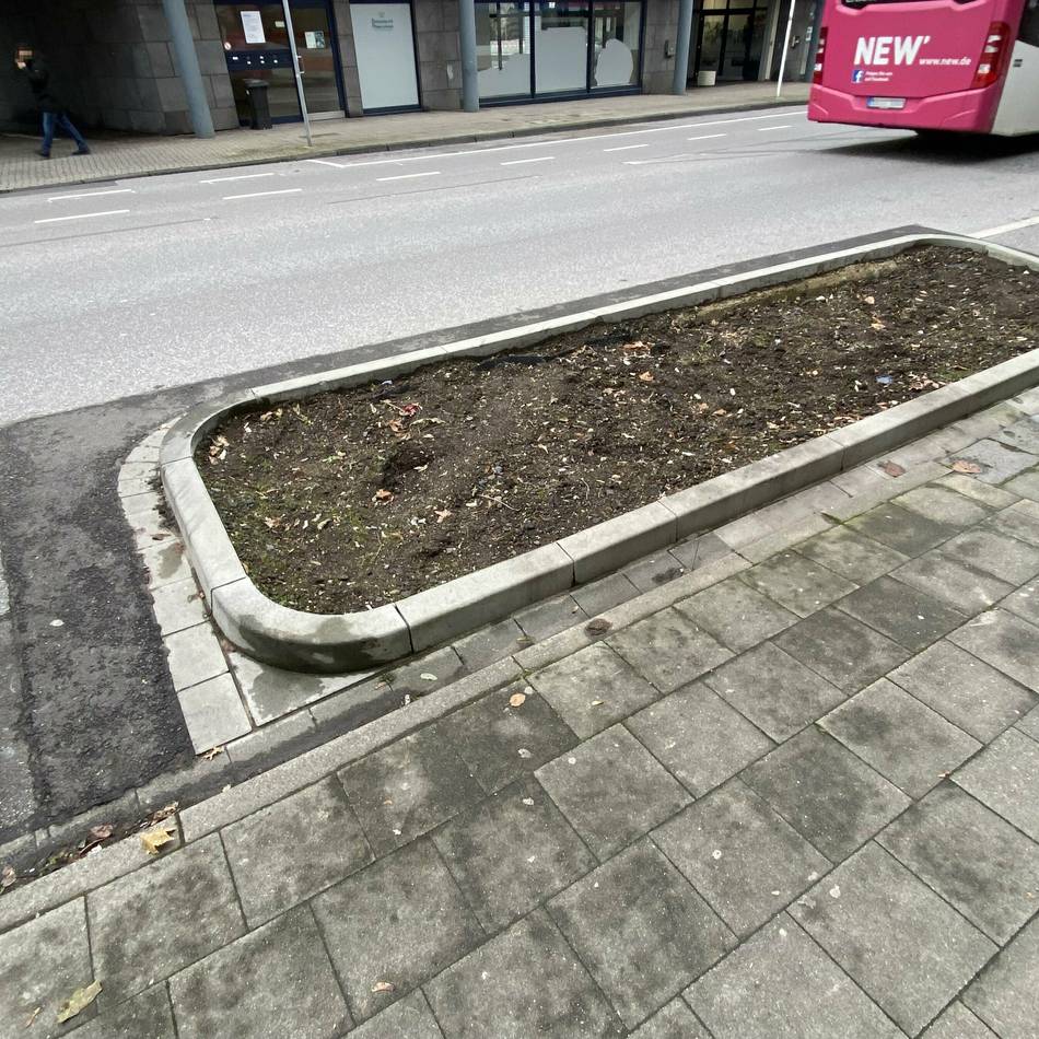 Baumnachpflanzungen in Düsseldorf: Im Stadtbezirk 9 pflanzt die Stadt im Herbst 27 neue Bäume