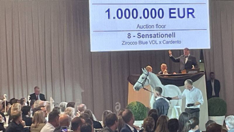 Jubiläum in Goch-Pfalzdorf: 20. Springpferdeauktion bei Hetzel – Wird die Million wieder geknackt?