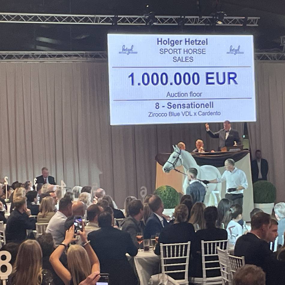 Jubiläum in Goch-Pfalzdorf: 20. Springpferdeauktion bei Hetzel – Wird die Million wieder geknackt?