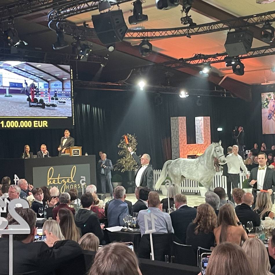 Pferdeauktion in Goch-Pfalzdorf: Wallach Dior wechselt für eine Million Euro den Besitzer