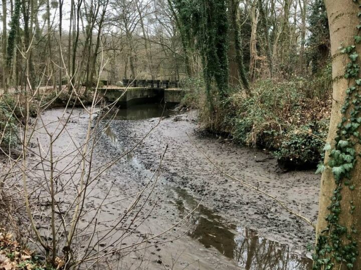 Nach Sabotage vor knapp zwei Jahren: Fischbestand in Obererft leidet weiterhin