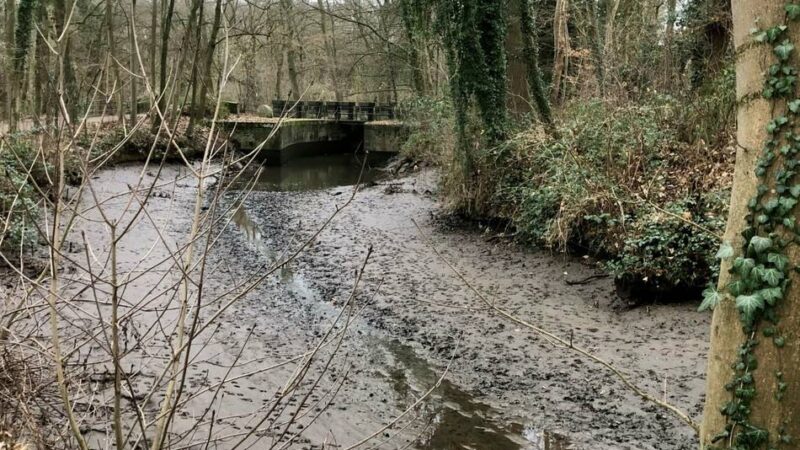 Nach Sabotage vor knapp zwei Jahren: Fischbestand in Obererft leidet weiterhin