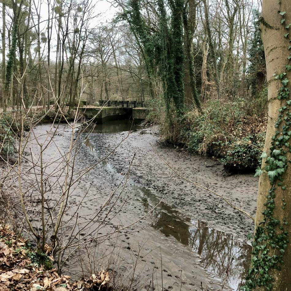Nach Sabotage vor knapp zwei Jahren: Fischbestand in Obererft leidet weiterhin