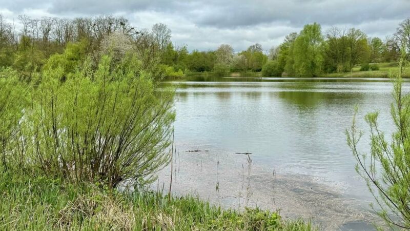 Anwohner-Protest in Neuss: Polizei-Einsatz bei Jagd am Jröne Meerke