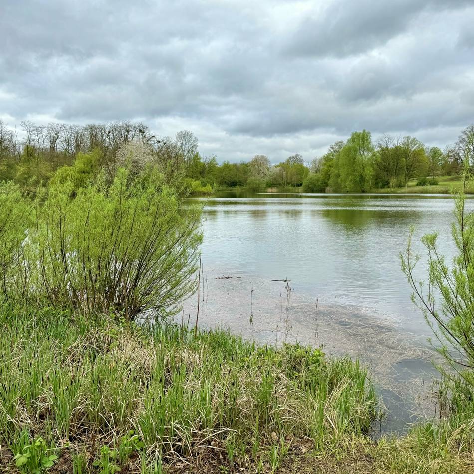 Anwohner-Protest in Neuss: Polizei-Einsatz bei Jagd am Jröne Meerke