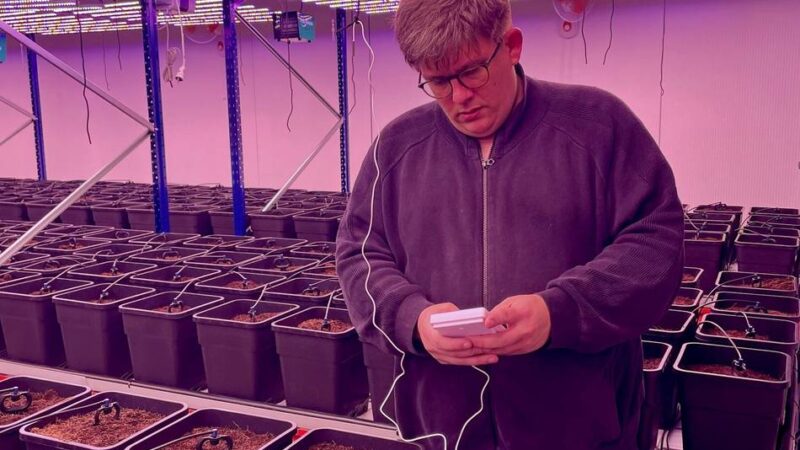 Legaler Cannabis-Anbau und Verkauf: Erster Klever Kiffer-Klub steht vor dem Start