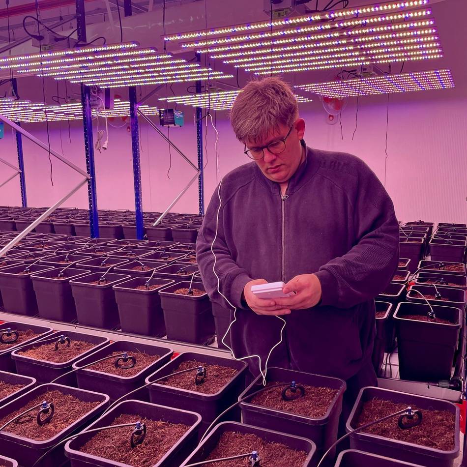 Legaler Cannabis-Anbau und Verkauf: Erster Klever Kiffer-Klub steht vor dem Start