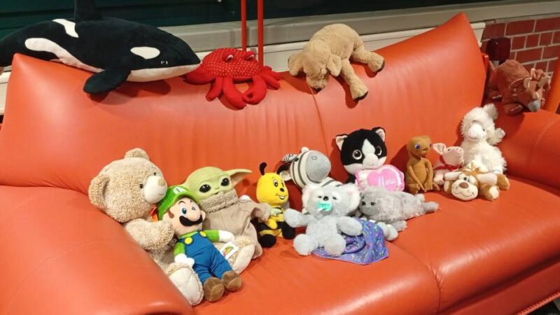 Event für Kinder in Düsseldorf: Eine aufregende Nacht für Kuscheltiere in der Bücherei Garath