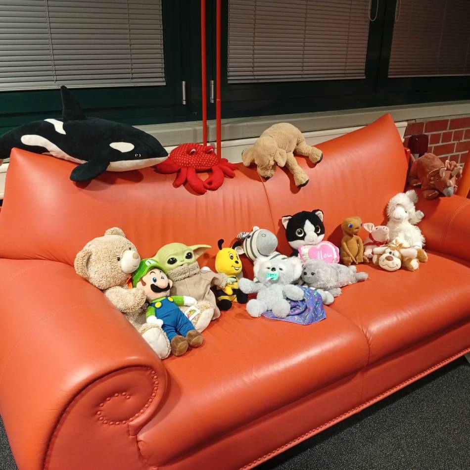 Event für Kinder in Düsseldorf: Eine aufregende Nacht für Kuscheltiere in der Bücherei Garath