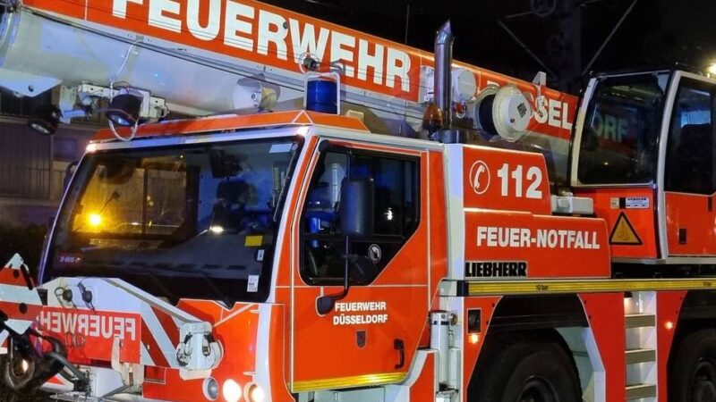 Feuerwehreinsatz in Düsseldorf-Unterrath: Acht Meter hoher Baum stürzt auf die Straße