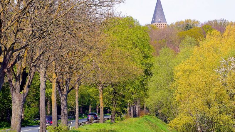 Öffentliche Sitzung im Rathaus: Gestaltungsbeirat befasst sich mit geplanter Deich-Mauer in Birten