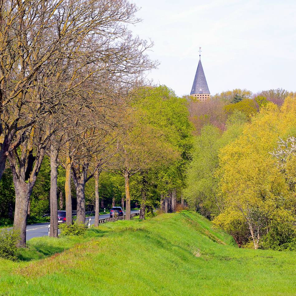 Öffentliche Sitzung im Rathaus: Gestaltungsbeirat befasst sich mit geplanter Deich-Mauer in Birten