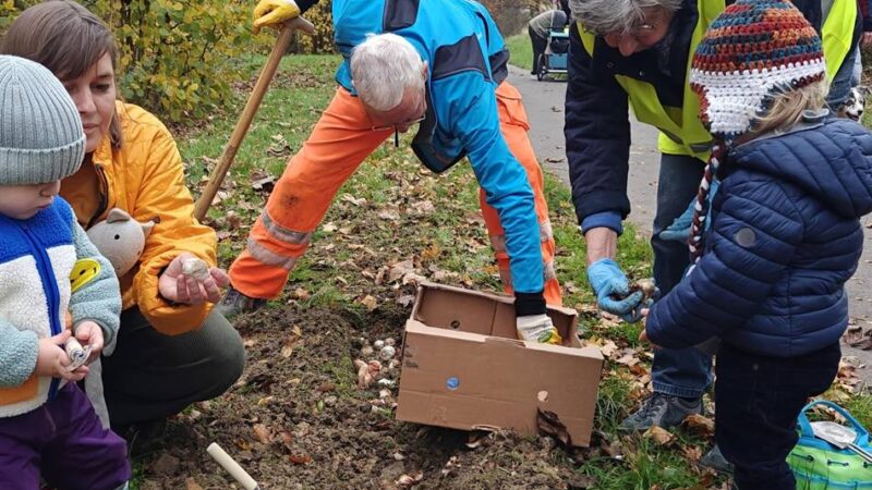 Bürgerverein Metzkausen räumt Comberg-Park auf: Der Müll kommt raus und 1800 Blumenzwiebeln rein