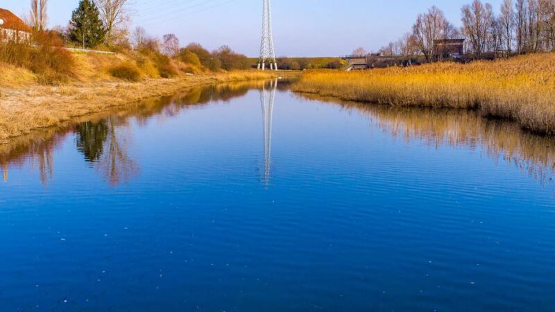 Renaturierung in Rheinberg: Lineg beginnt mit Umbau des Altrheins