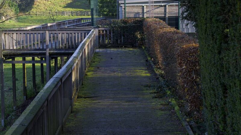 Baufällig und nicht mehr standsicher: Holzsteganlage am Westwall in Orsoy wird gesperrt