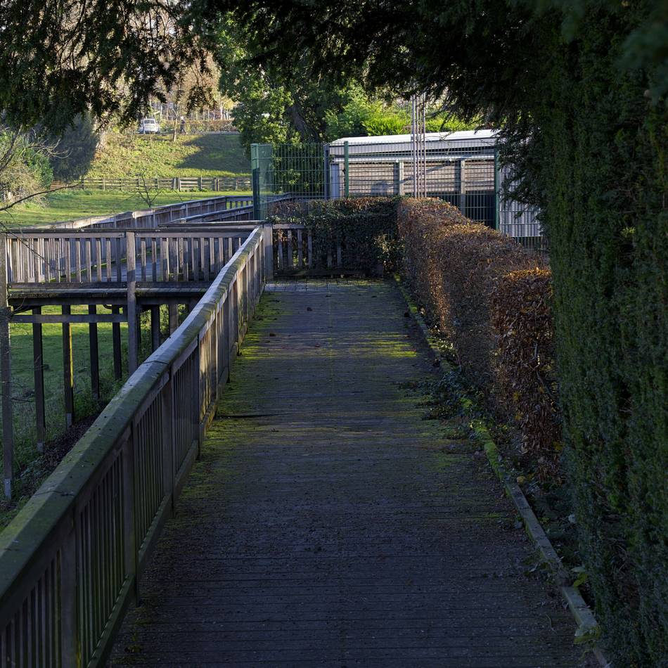 Baufällig und nicht mehr standsicher: Holzsteganlage am Westwall in Orsoy wird gesperrt
