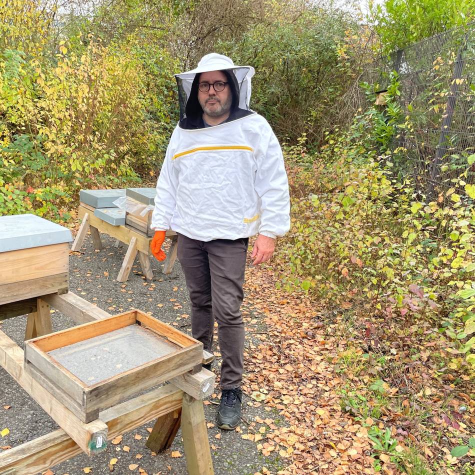 In Neuss tobt eine Invasion: Imker verliert alle Bienenvölker durch Asiatische Hornisse