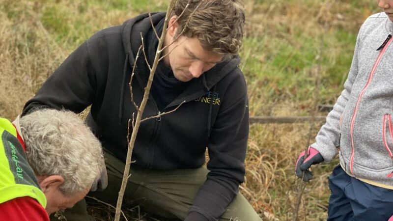 Aufforstung in Hückeswagen: 700 neue Bäume für den Pferdsberg