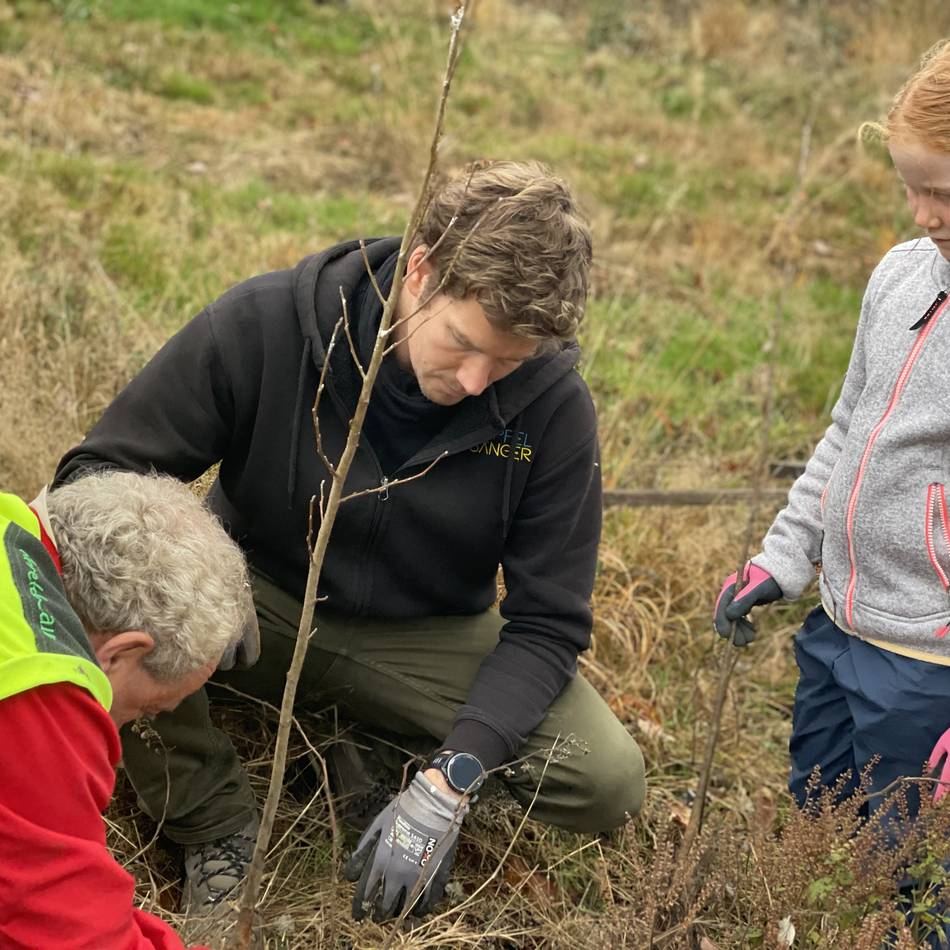 Aufforstung in Hückeswagen: 700 neue Bäume für den Pferdsberg