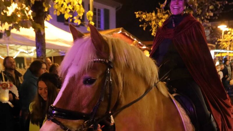 Sankt Martin-Umzüge starten: Laternenmeer in Leverkusen