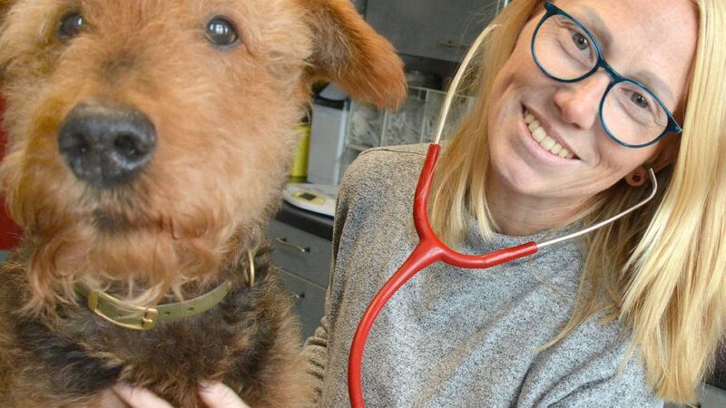 Neusser Tierärztin empfiehlt: „Am besten fängt man früh an, seine Tiere auf Silvester vorzubereiten“