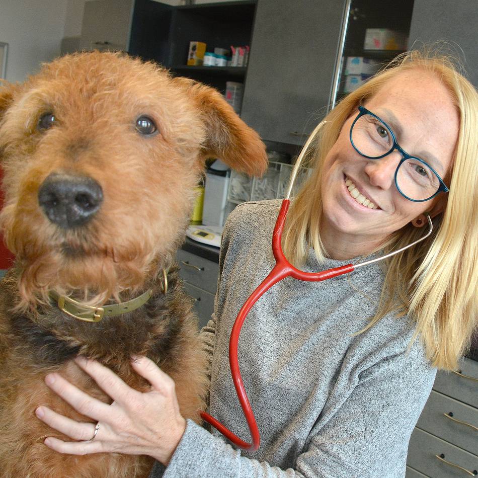 Neusser Tierärztin empfiehlt: „Am besten fängt man früh an, seine Tiere auf Silvester vorzubereiten“