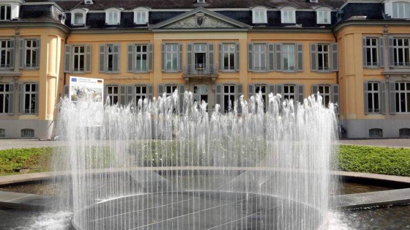 Sonntag ist in Leverkusen Vernissage: Neue Installation im Museum Morsbroich