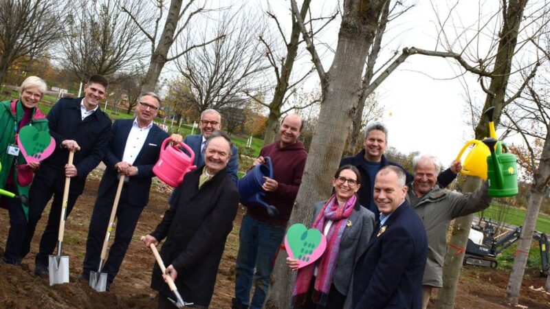 Baumhaus-Projekt in Neuss: Warum das Schützenhaus im Laga-Gelände auf der Kippe steht