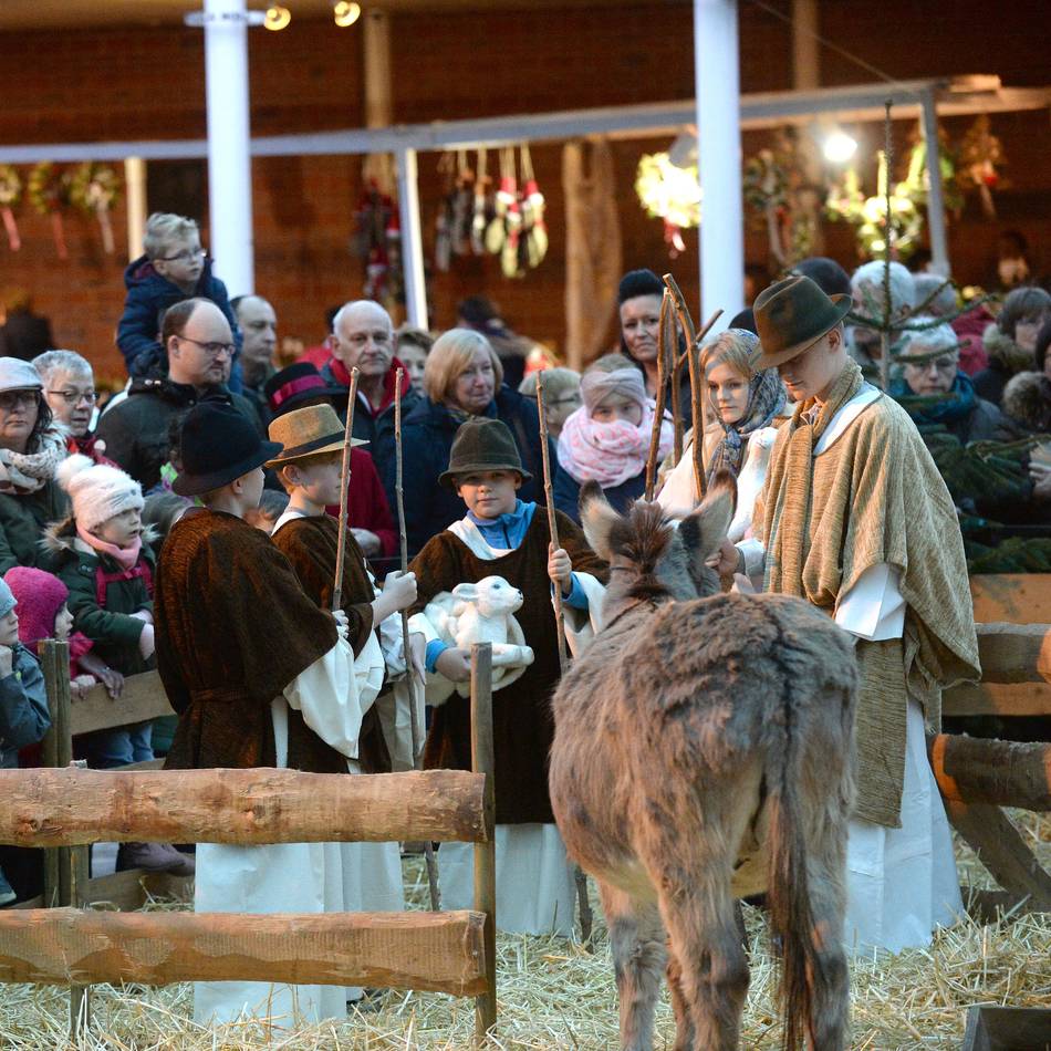 Von Gewächshaus bis Wasserschloss: Diese Weihnachtsmärkte gibt es 2025 im Kreis Kleve