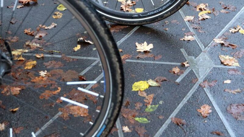 2025 wird neues Rekordjahr in Leverkusen: ADFC fordert mehr Fahrradzählstellen