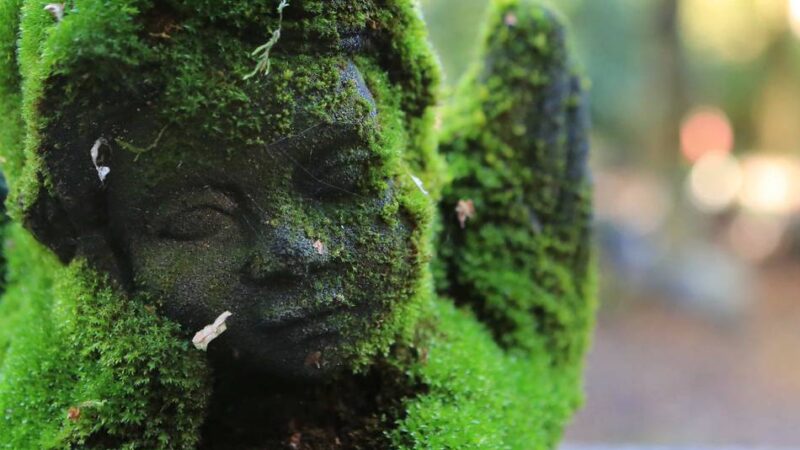 Leverkusener sollen ab 2026 mehr zahlen: Busch (FDP): Stadt hat bei Erdbestattung höchste Gebühren in NRW