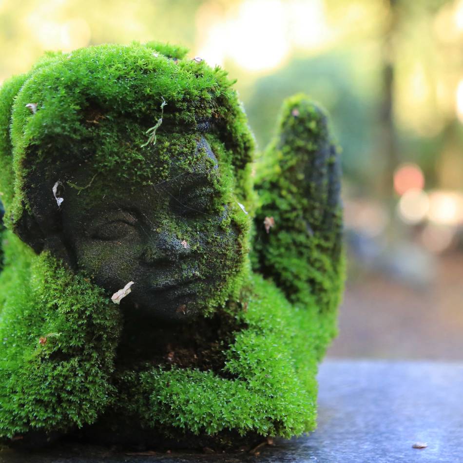 Leverkusener sollen ab 2026 mehr zahlen: Busch (FDP): Stadt hat bei Erdbestattung höchste Gebühren in NRW