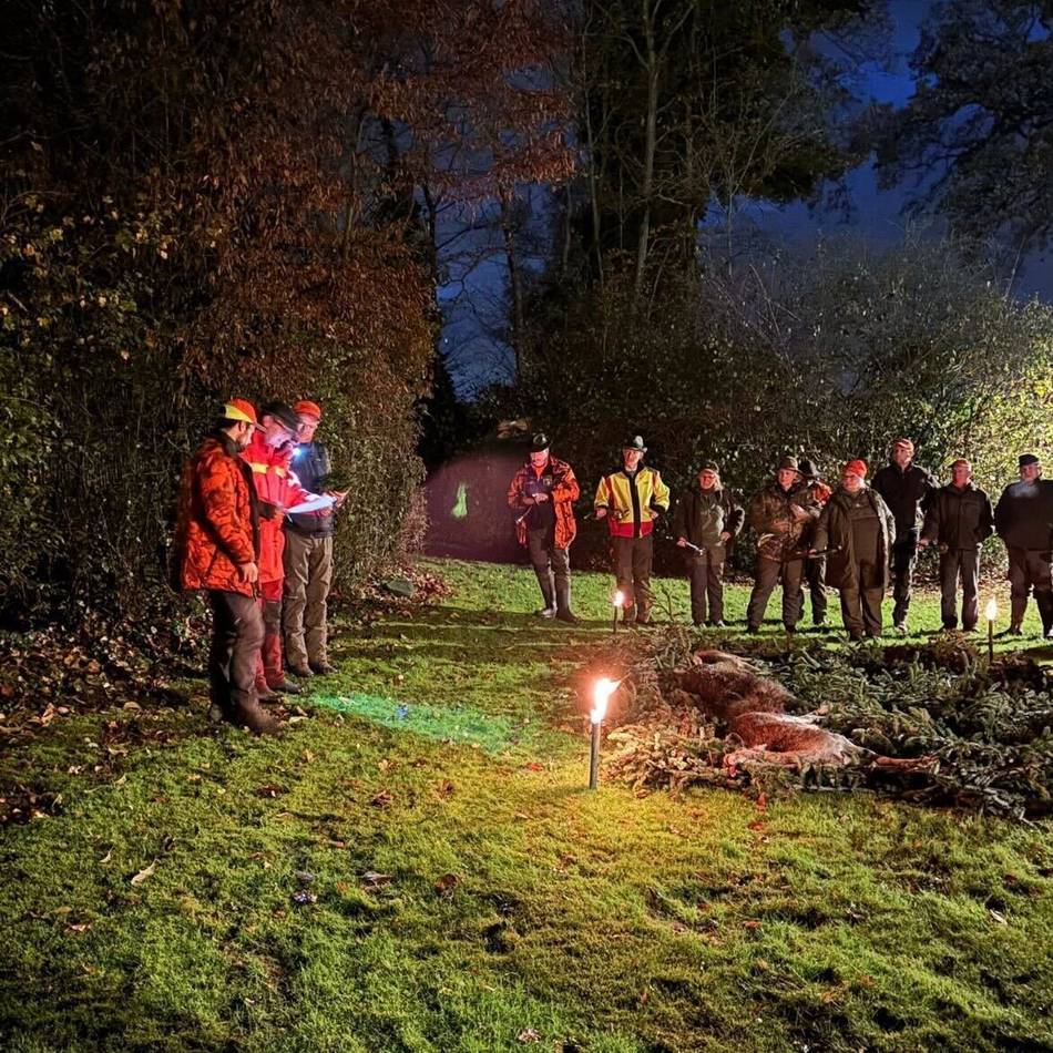 35 Wildschweine und 26 Rehe erlegt: „Massive Beunruhigung im Wald“ – Drückjagd in Dormagen